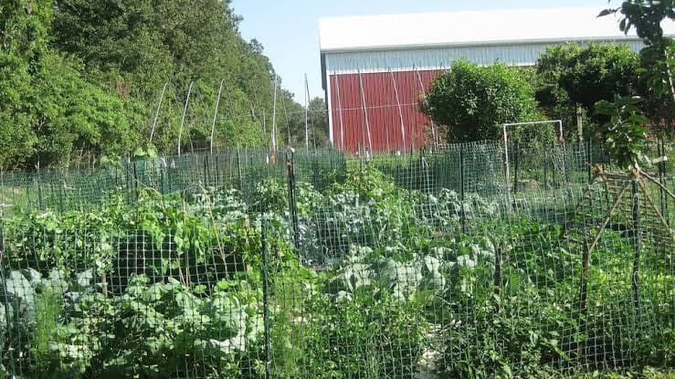 Flint Hill Farm Ag logo