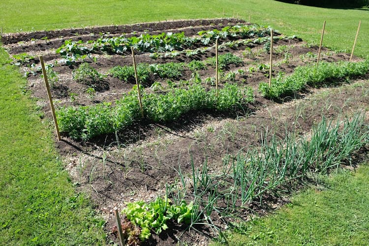 Sunny Valley Urban Farm Logo