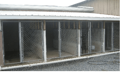 Country Breeze Kennel Dog Boarding logo