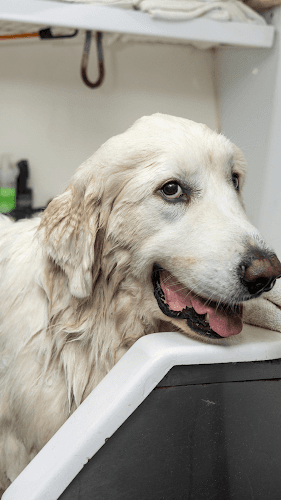 Aussie Pet Mobile of Lehigh Valley Logo