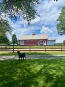 Klein Farms Dairy & Creamery logo