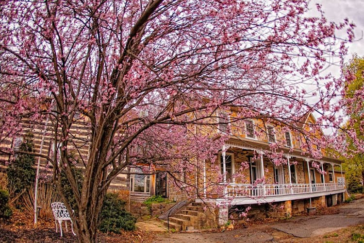 The Inn at Birch Wilds logo