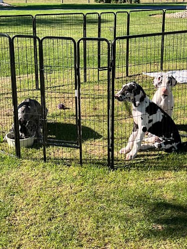 Drkaren’s Kountry Kennels logo