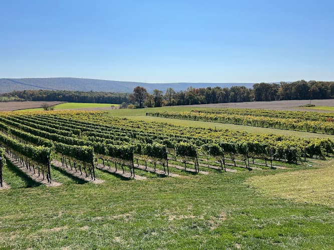 Galen Glen Vineyard & Winery logo