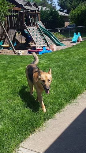 Char-Will Kennels logo