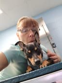 Brunswick Veterinary Hospital logo