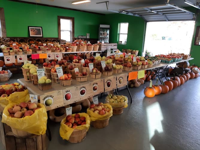 Stein's Farm Market logo