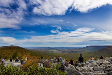 Hawk Mountain Sanctuary logo