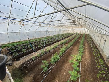 Patriot Farms, LLC logo