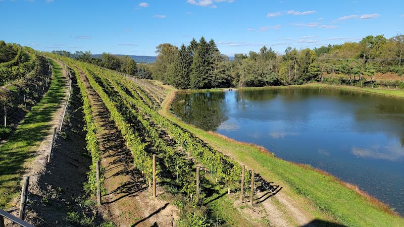 Blue Mountain Vineyards & Cellars logo