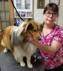 Forget-Me-Not pet grooming logo