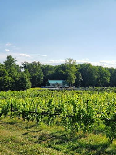 Ridgeview Farm & Vineyards/ Ridgeview Farm Brewing Co. logo