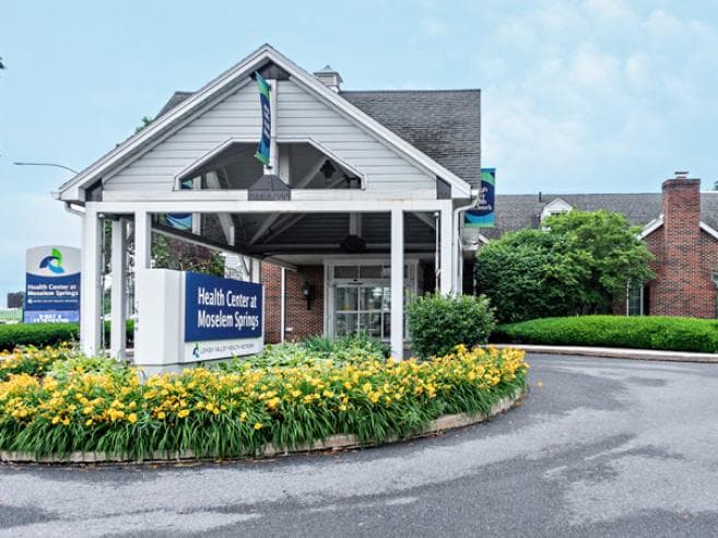 LVHN ExpressCARE-Moselem Springs logo