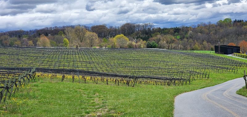 Setter Ridge Vineyards logo