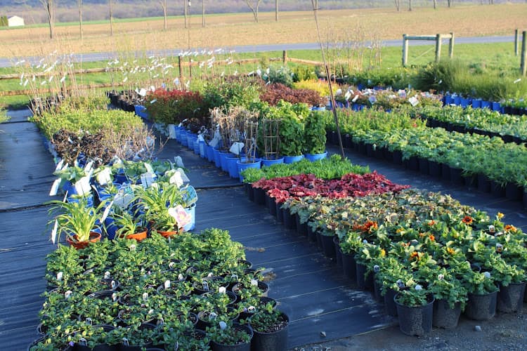 Heritage Farm & Market (FKA: Burkholder's Farm Fresh)