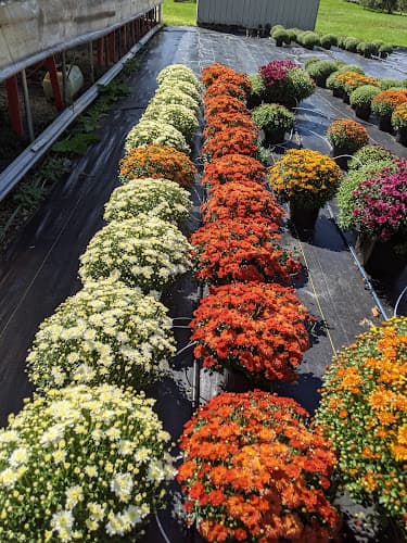 Richmond Produce