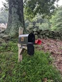 United States Postal Service logo