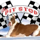 Pit Stop Pet Grooming logo