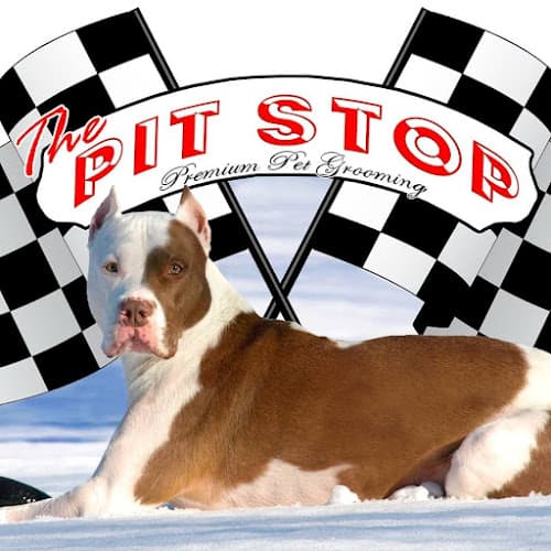 Pit Stop Pet Grooming Logo