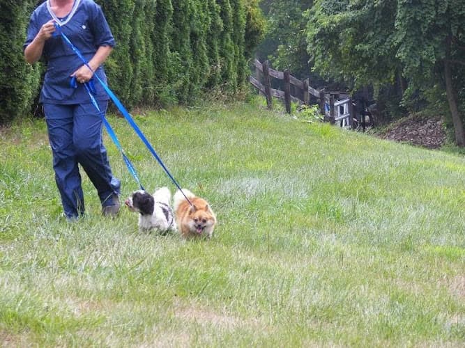 D and D Kennel