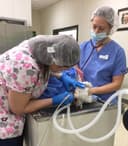 Willow Creek Veterinary Center logo