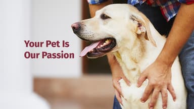 Leesport Animal Hospital logo