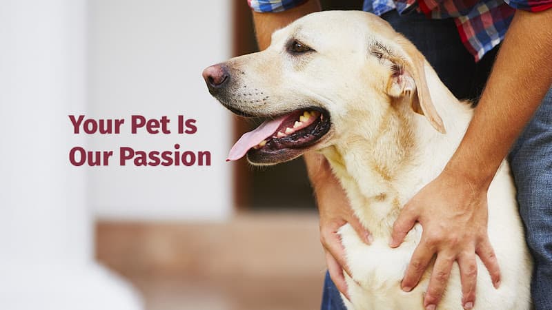 Leesport Animal Hospital Logo