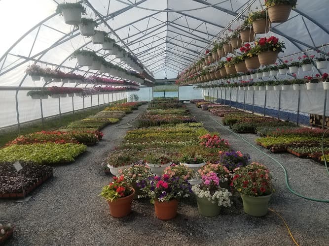 Oberholtzer Growers logo