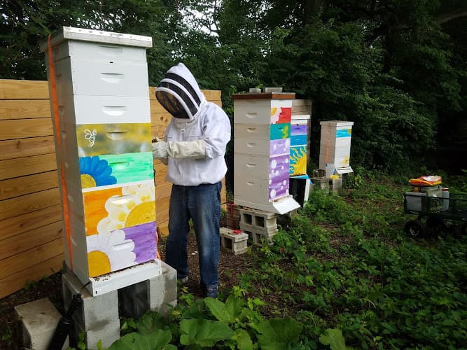 Americana Farm, LLC Apiary logo