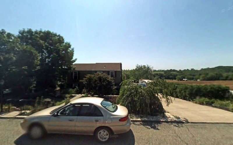 Natural Selection Web Design logo