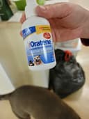 Berks Animal Hospital North logo