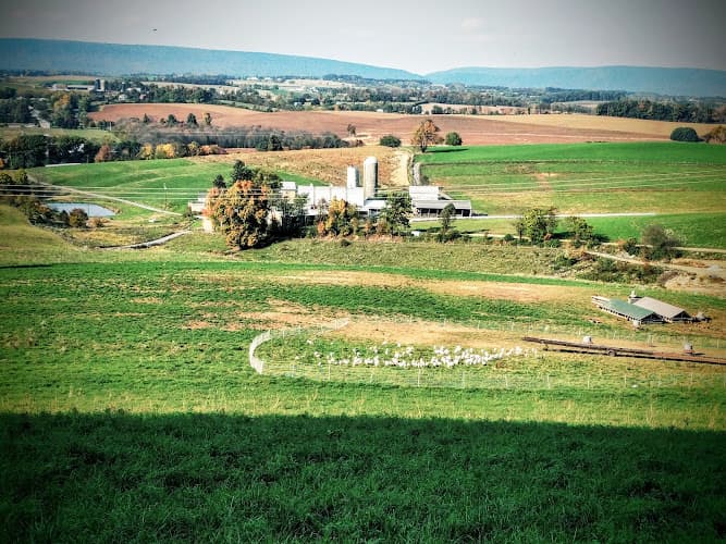 Deep Roots Valley Farm Logo