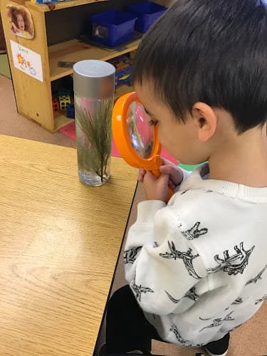 Little Sprouts Early Learning Center LLC logo