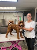 Cindy's Canine Companions Salon & Services logo