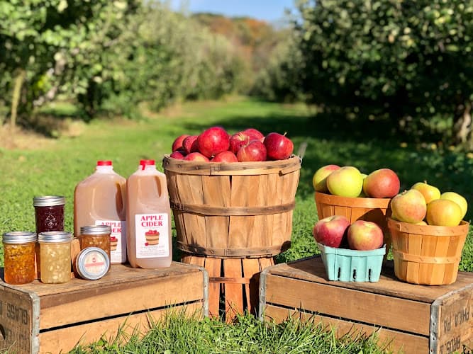 Moyer's Fruits & Treasures logo