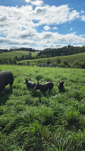 Honey Brook Farm logo