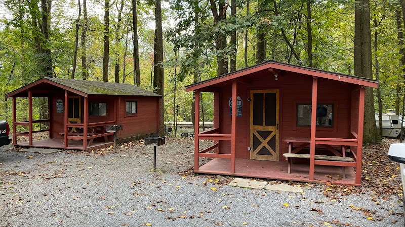 Mountain Springs Camping Resort Logo