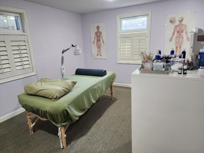 Acupuncture and Holistic Care logo