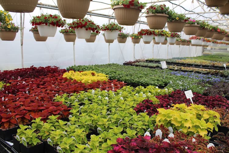 Kreider's Greenhouse Logo