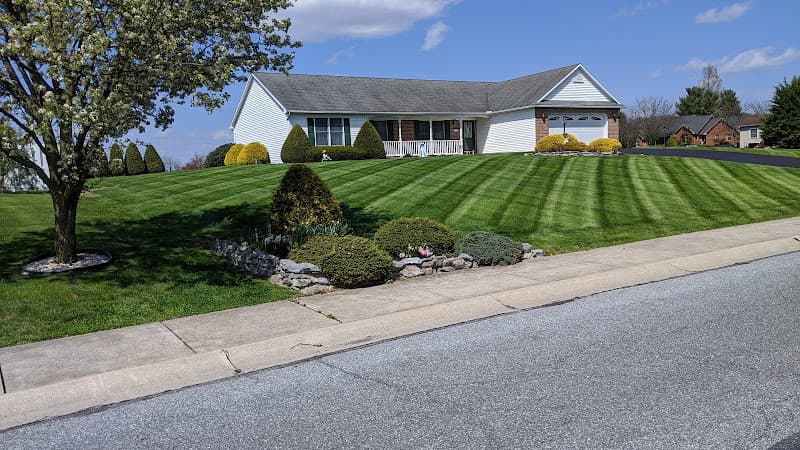 BNS Landscaping logo