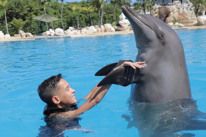 Bold Property Management logo