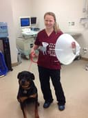 Animal Health Care of Myerstown logo