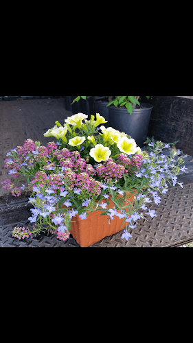 Oberholtzer Growers logo