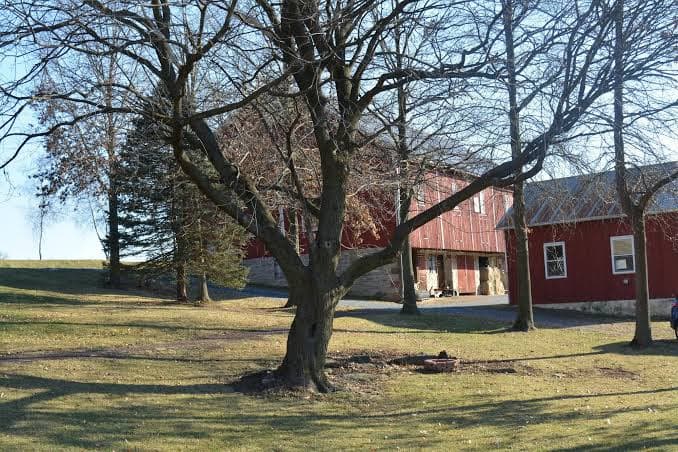 Gruber Homestead Settler's Cabin