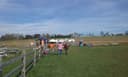 Duncan's Corn Maze and Pumpkin Patch logo