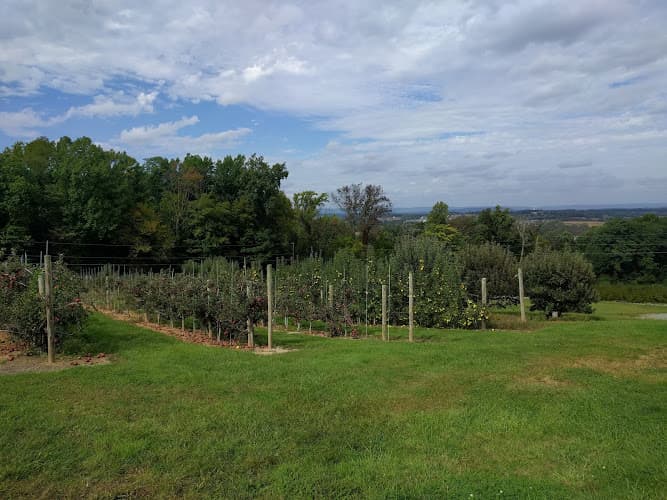Preston Orchards Logo