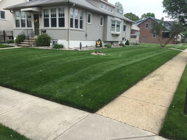 Blades of Steel Landscaping LLC Logo