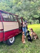 Pagoda Paws Pet Care logo