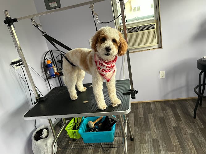 Millcreek Grooming logo