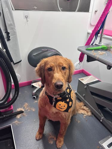 Mutts, Cuts & Wiggly Butts, LLC logo